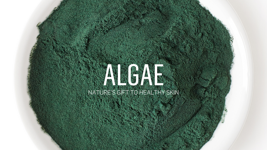 Algae - Nature's Gift to Healthy Skin