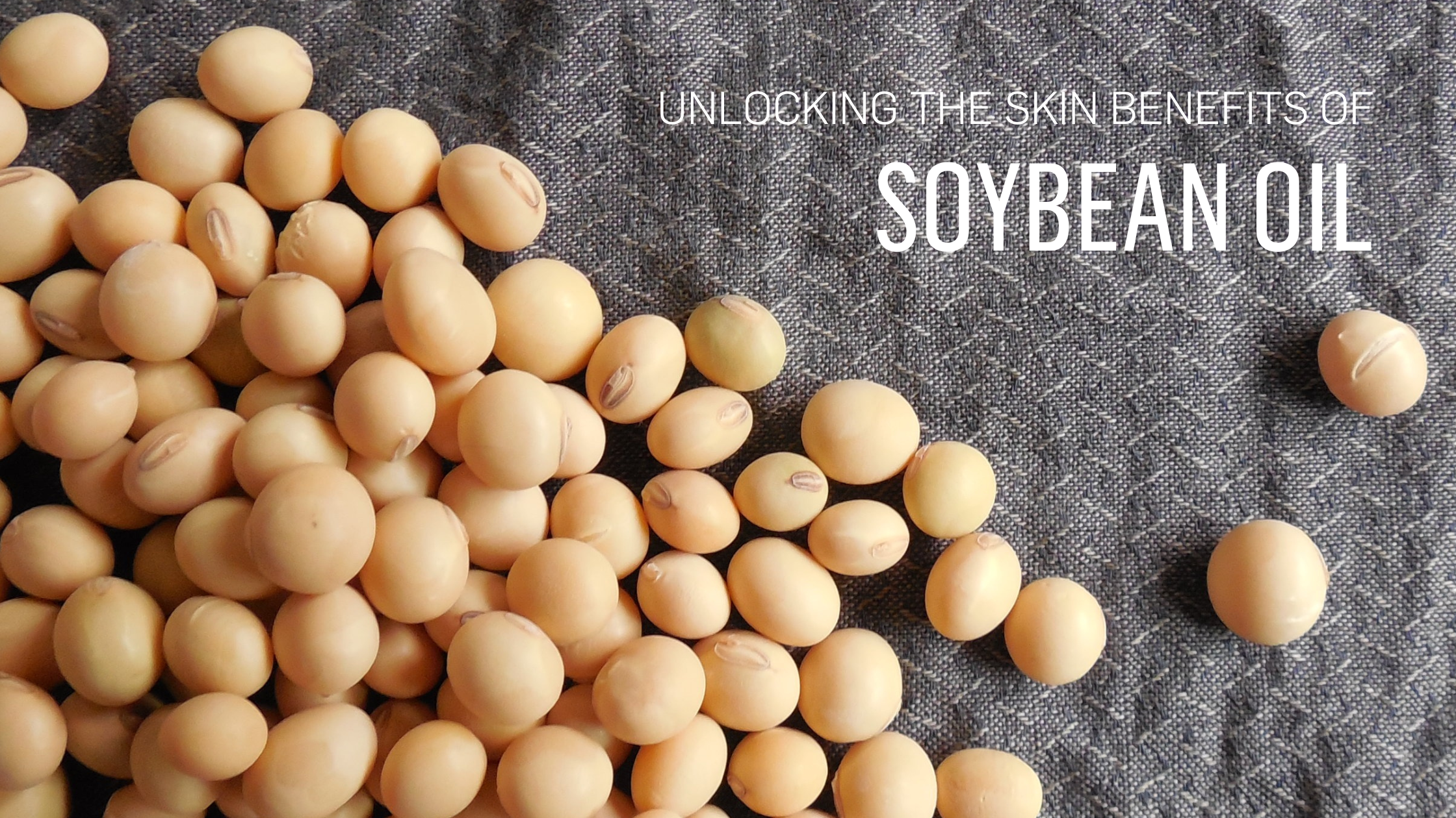 Unlocking the Skin Benefits of Soybean Oil