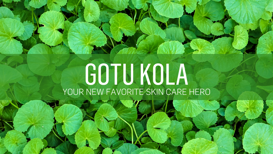 Gotu Kola: Your New Favorite Skin Care Hero